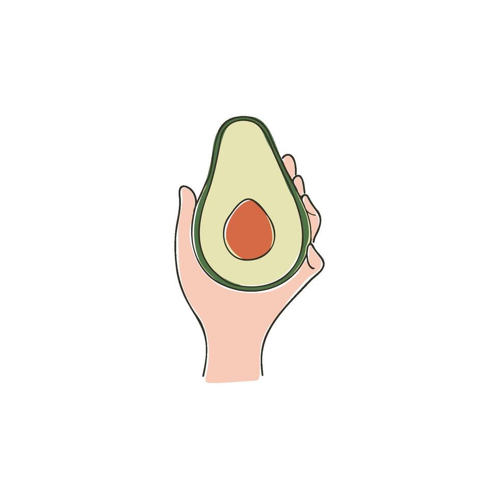 simple illustration a hand holding an avocado fruit vector