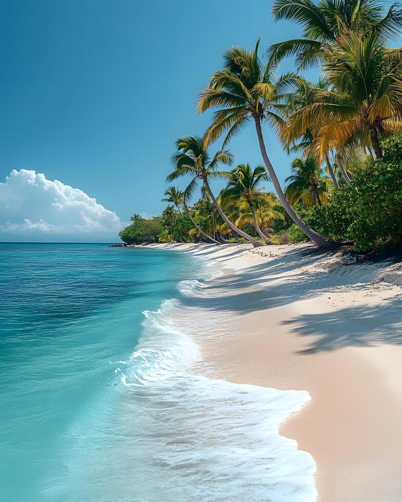 A clean white sandy beach stretches under a vast blue sky, with clear turquoise waters sparkling in the warm sunlight. Soft, foamy waves gently lap the shore perfect for eco-tourism posters or media. photo
