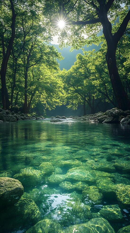 A bright and peaceful view of a lush forest with a crystal clear stream that reveals the rocks beneath. Sunlight filters through tall trees. No people. A natural scene suitable for ecotourism. photo