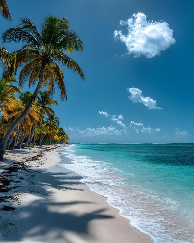 A clean white sandy beach stretches under a vast blue sky, with clear turquoise waters sparkling in the warm sunlight. Soft, foamy waves gently lap the shore perfect for eco-tourism posters or media. photo
