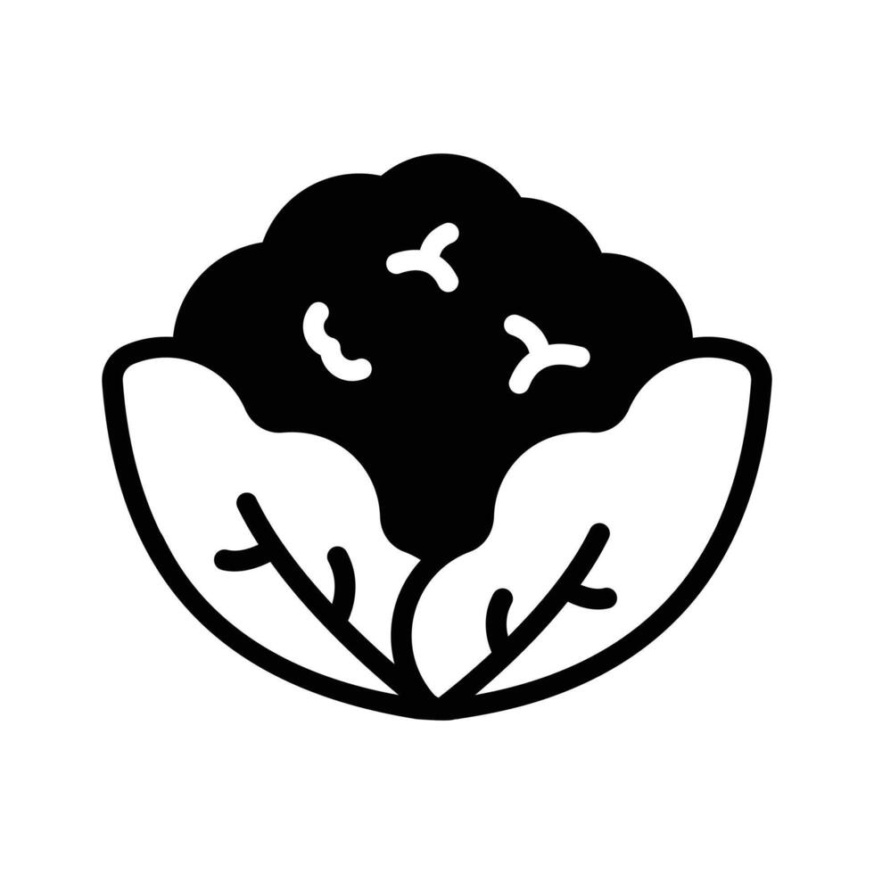 Fresh cauliflower with green leaves, healthy and organic food vector