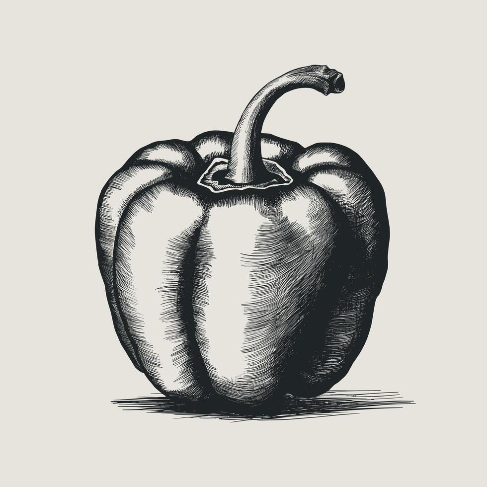 A black and white drawing of a pepper vector