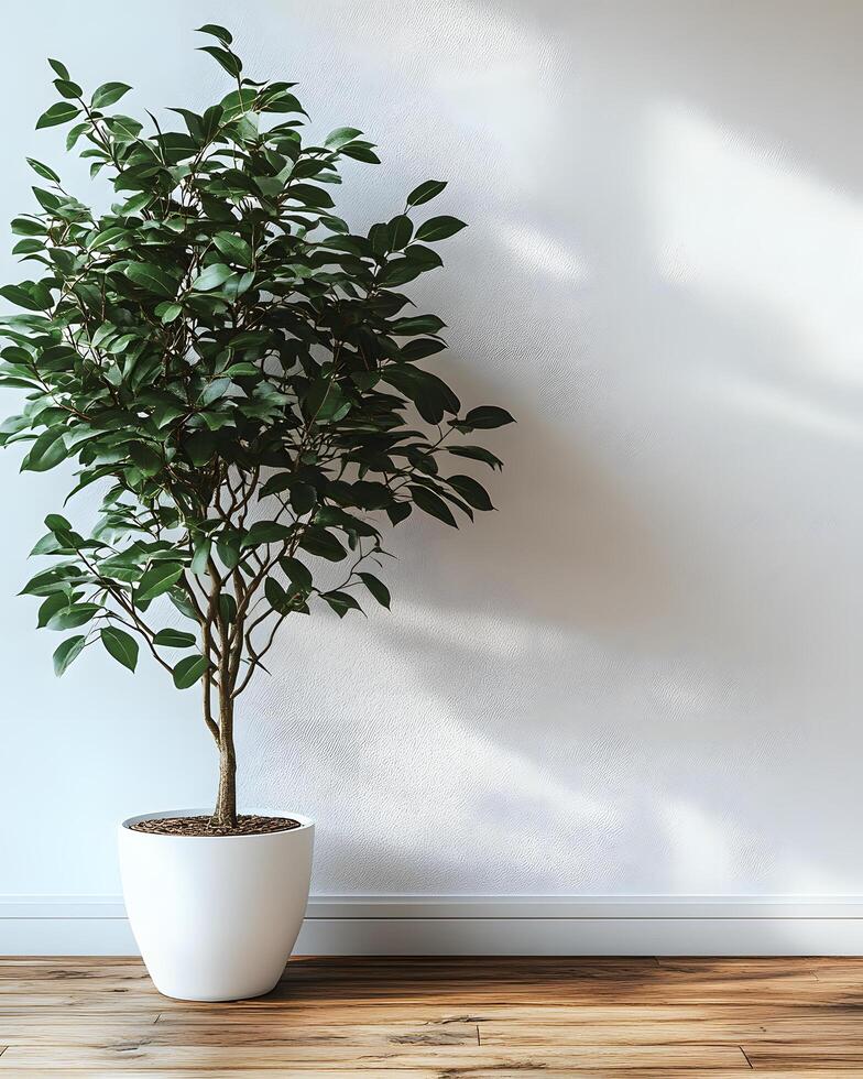 Green plants in white pots on a wooden floor in front of a white wall give a sense of nature, peace and balance. Suitable for interior decoration or wallpaper that emphasizes a relaxing atmosphere. photo