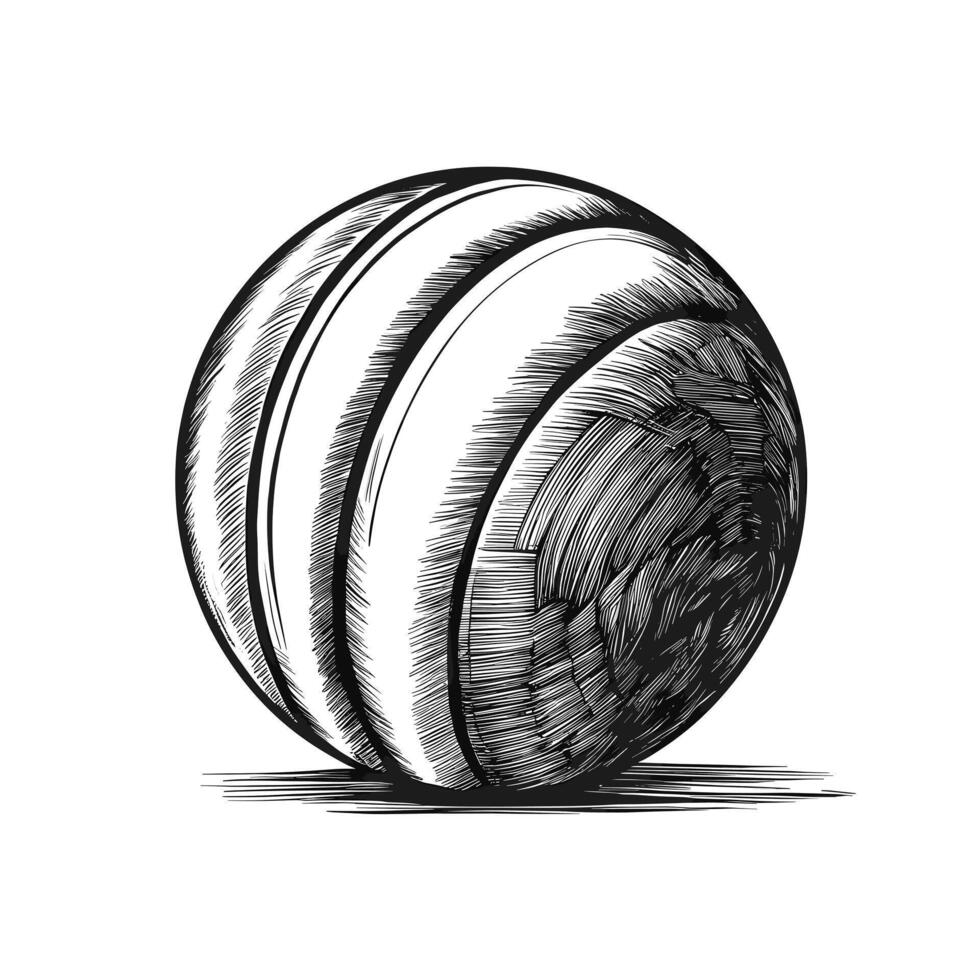 A black and white drawing of a cricket ball vector