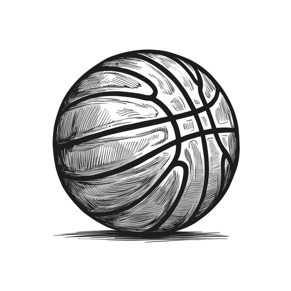 Basketball illustration isolated on white background vector