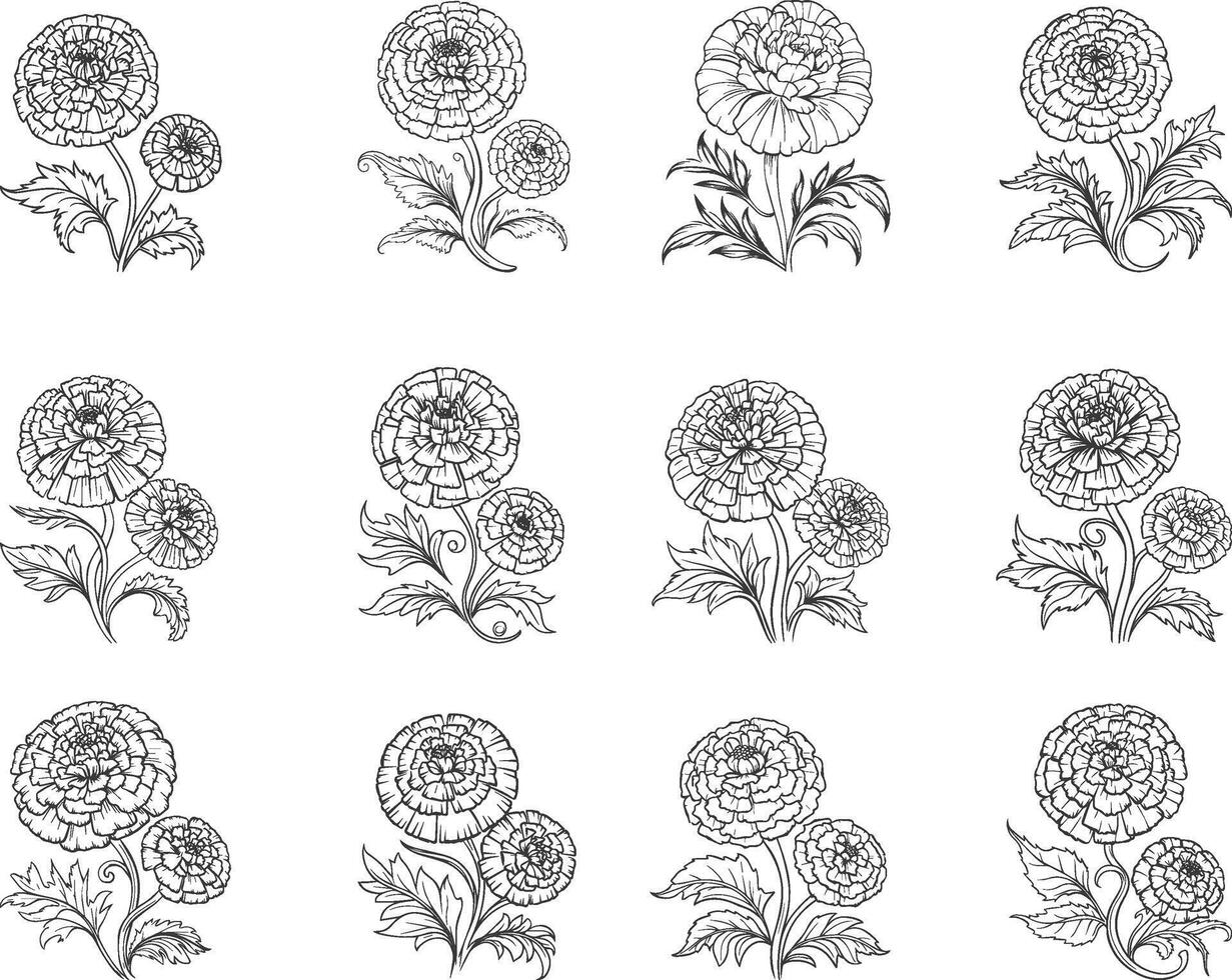 Customizable Marigold Flower Outline Art for Branding Projects vector
