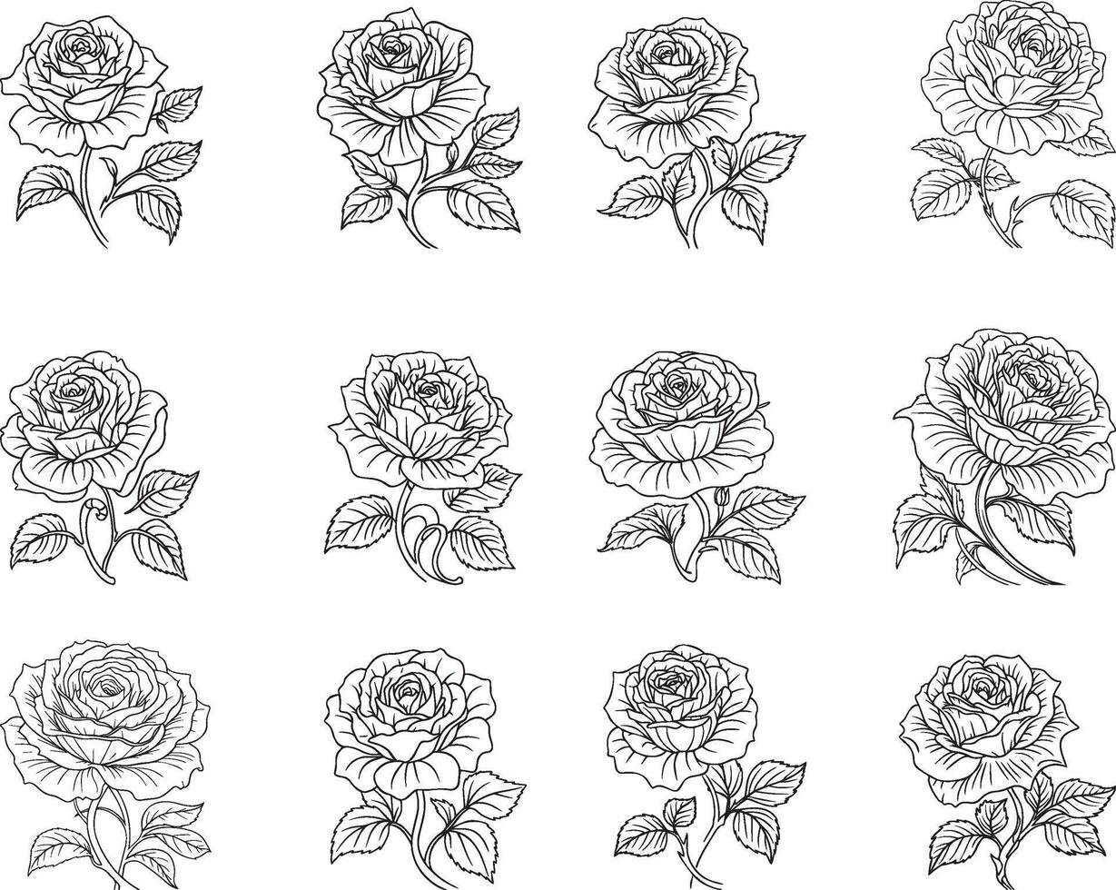 Minimalist Rose Flower Outline Artwork for Custom Projects vector