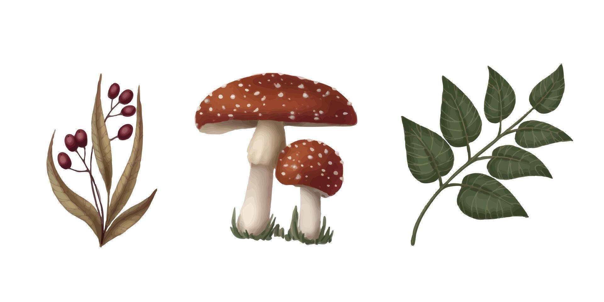 Set of three botanical element in cartoon style. Hand drawn fly agaric mushroom and twig of leaves and berries. Forest drawing perfect for autumn illustration and spooky season card designs. vector