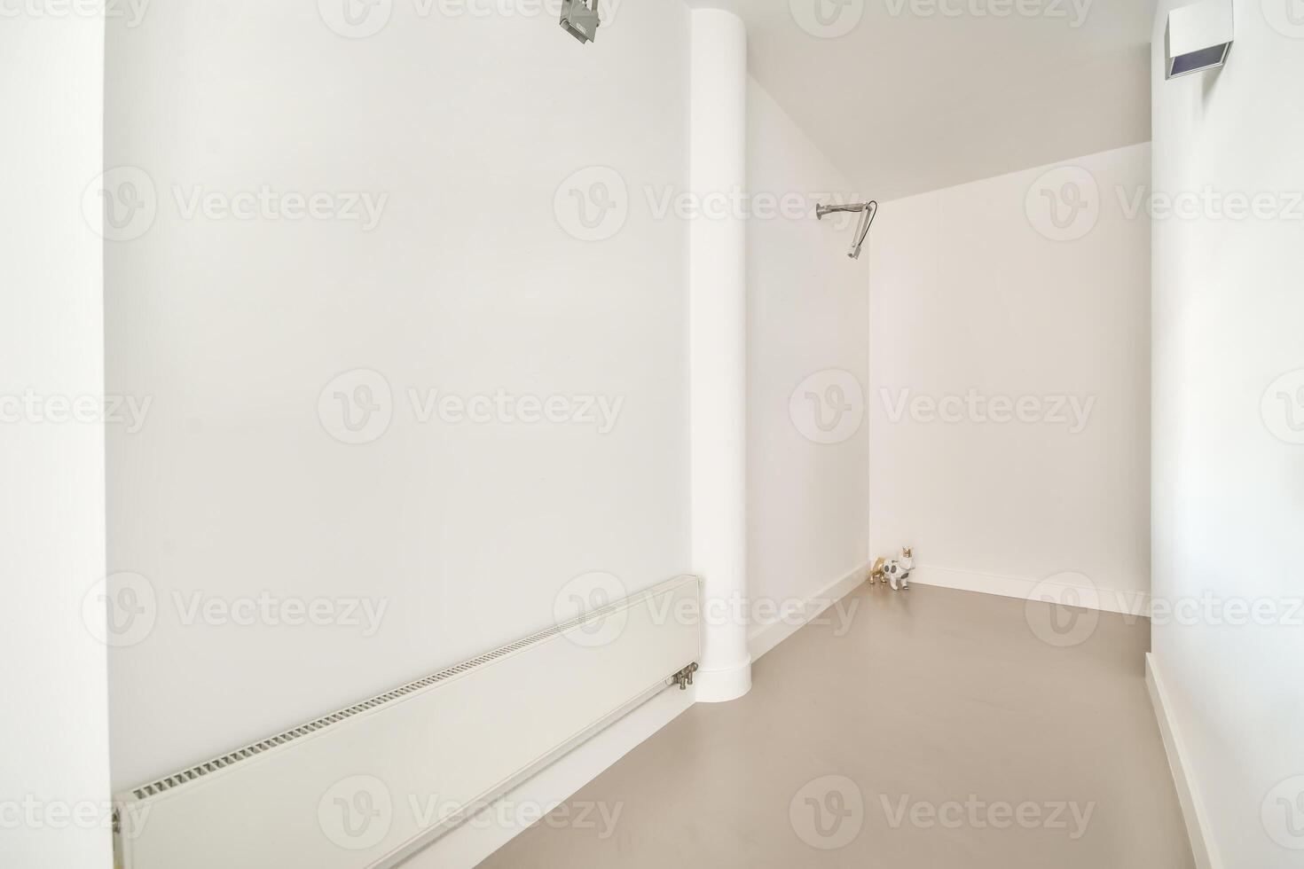 A white hallway with a white radiator and a cat photo