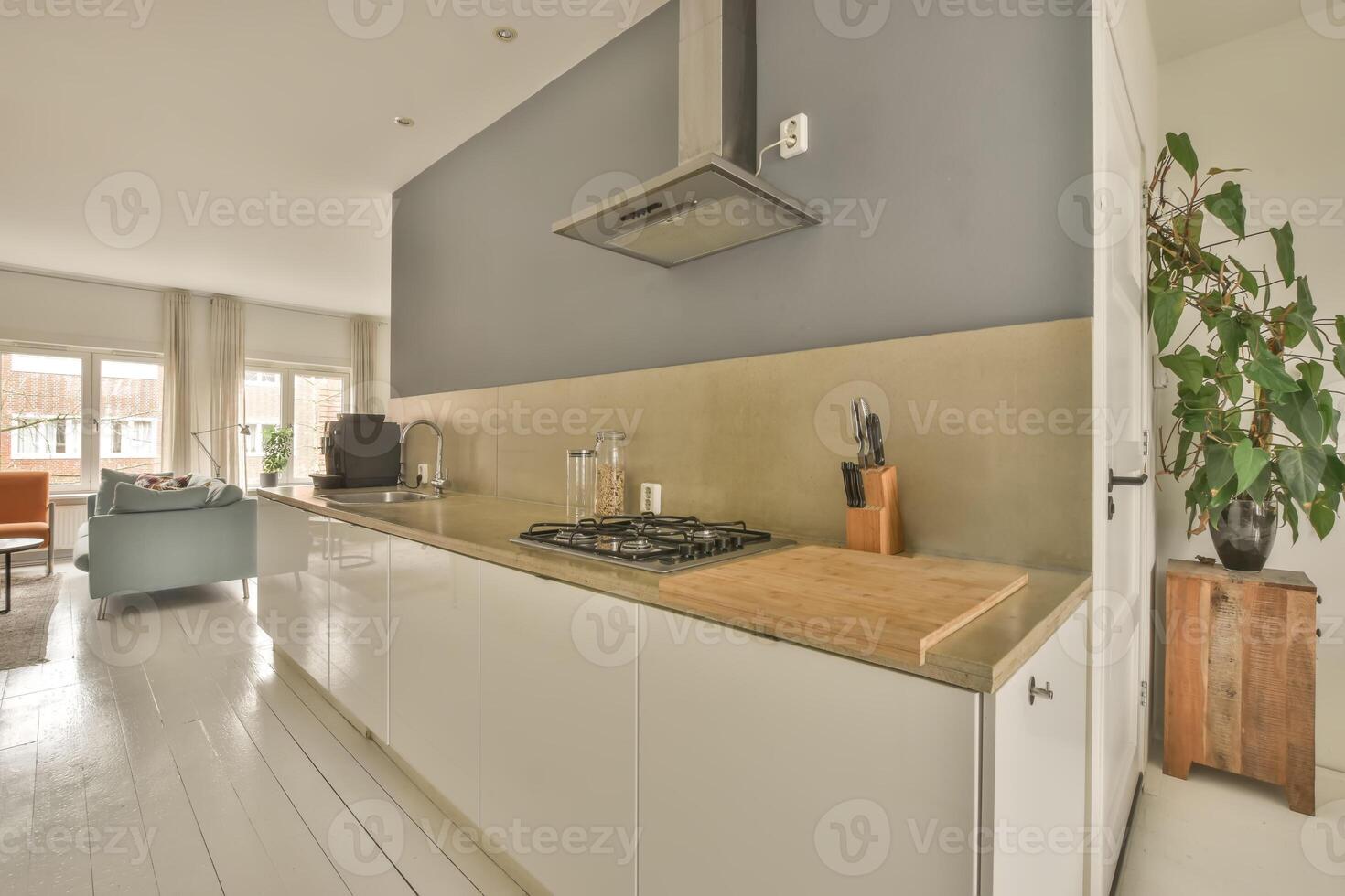 un cocina con un cocina, lavabo y un mesa foto