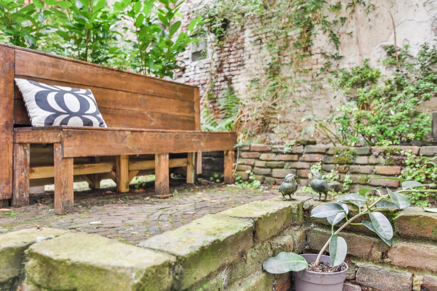 A bench sitting in a garden with a plant photo