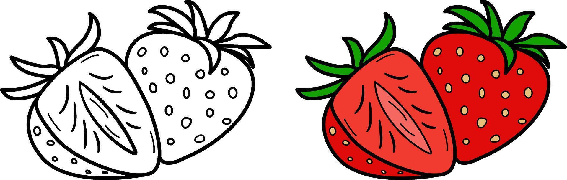 Ripe Strawberry for Coloring Page. Illustration Delicious Juicy Berry vector