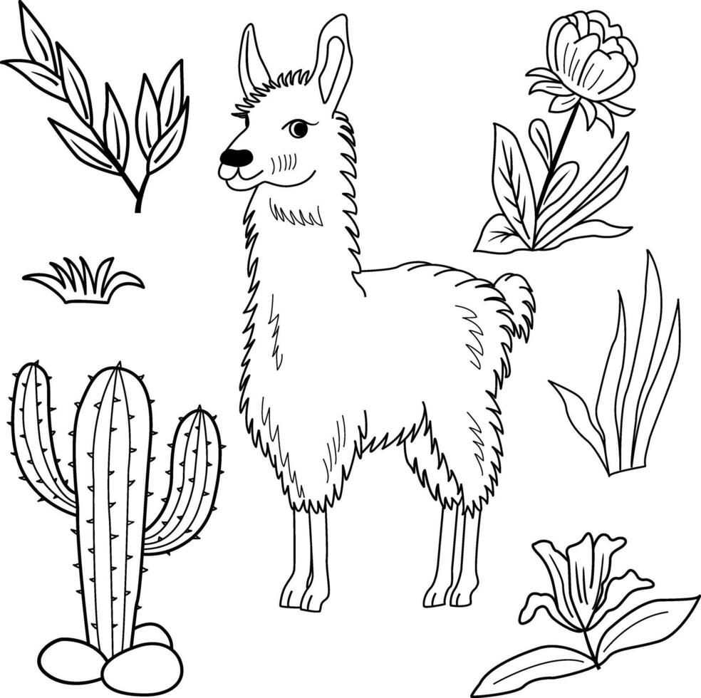 Sketch of llama, flowers, grass, and leaves. Illustration of an alpaca on the lawn for a children's coloring book vector