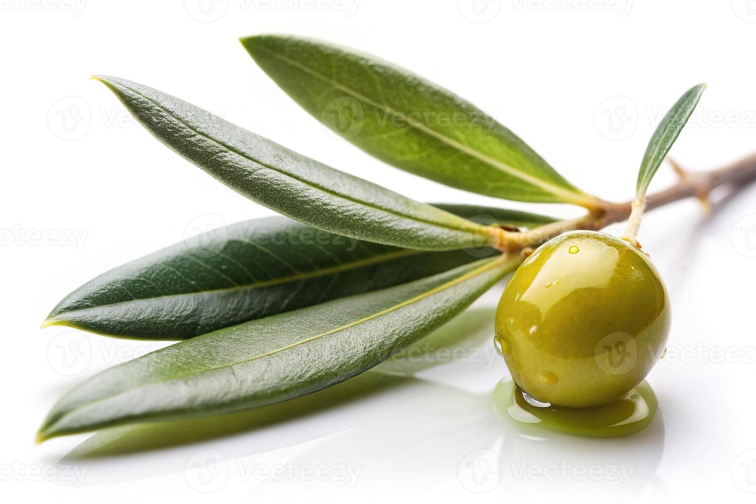 wellness, close-up, nature, vegetarian, white background, skincare, organic, drop of oil, vegan, nutrition, Close up of an olive branch with a drop of oil on a white background photo