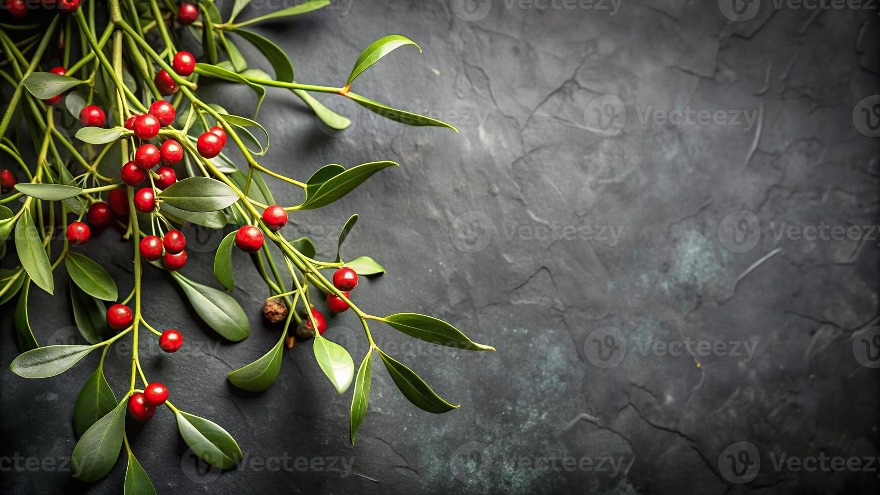 decoration, celebration, plant, seasonal,mistletoe, asymmetrical, holiday, festive, A close up shot of a mistletoe branch on a dark gray background creating an asymmetrical composition photo