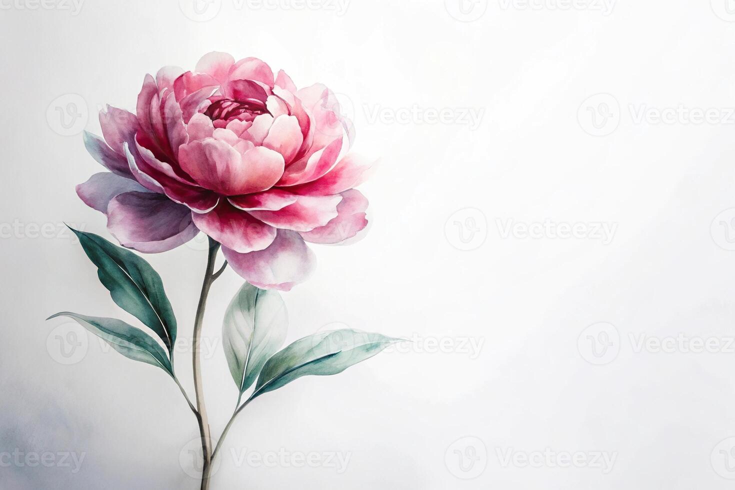 Abstract peony flower ink painting on white background photo