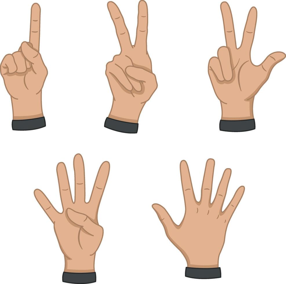 Hands Showing Numbers. Cartoon Hands Counting from One to Five. illustration vector