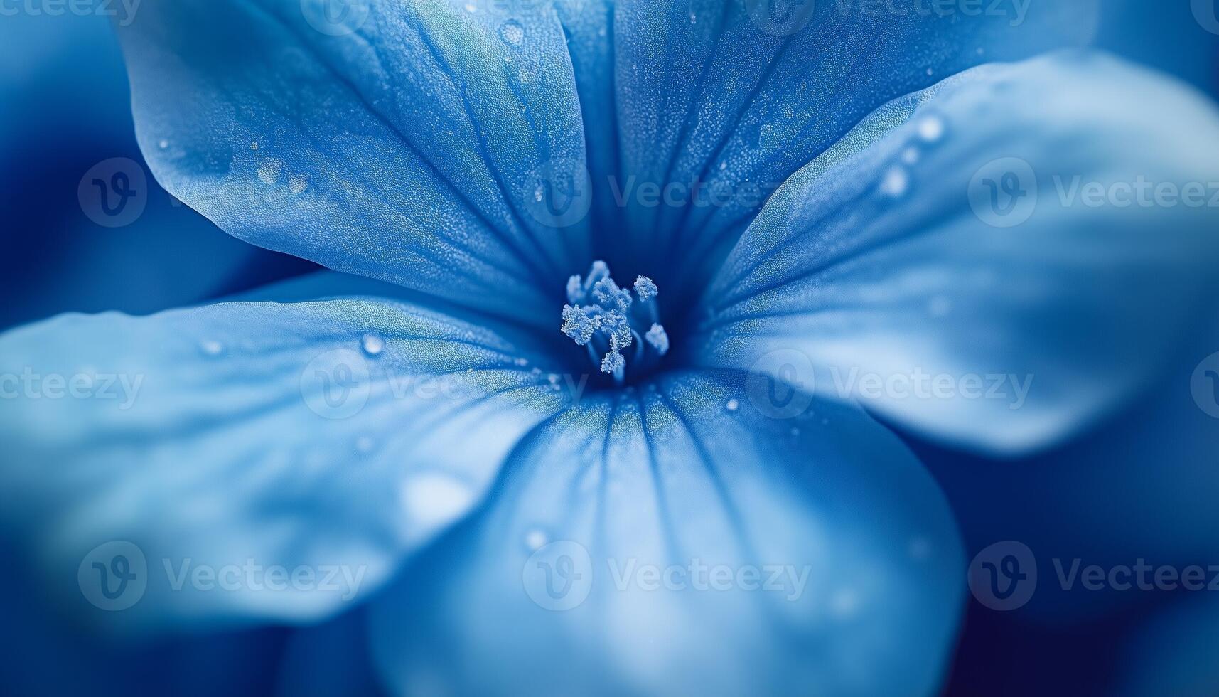 Blue flower extreme macro photo blooming botanical background