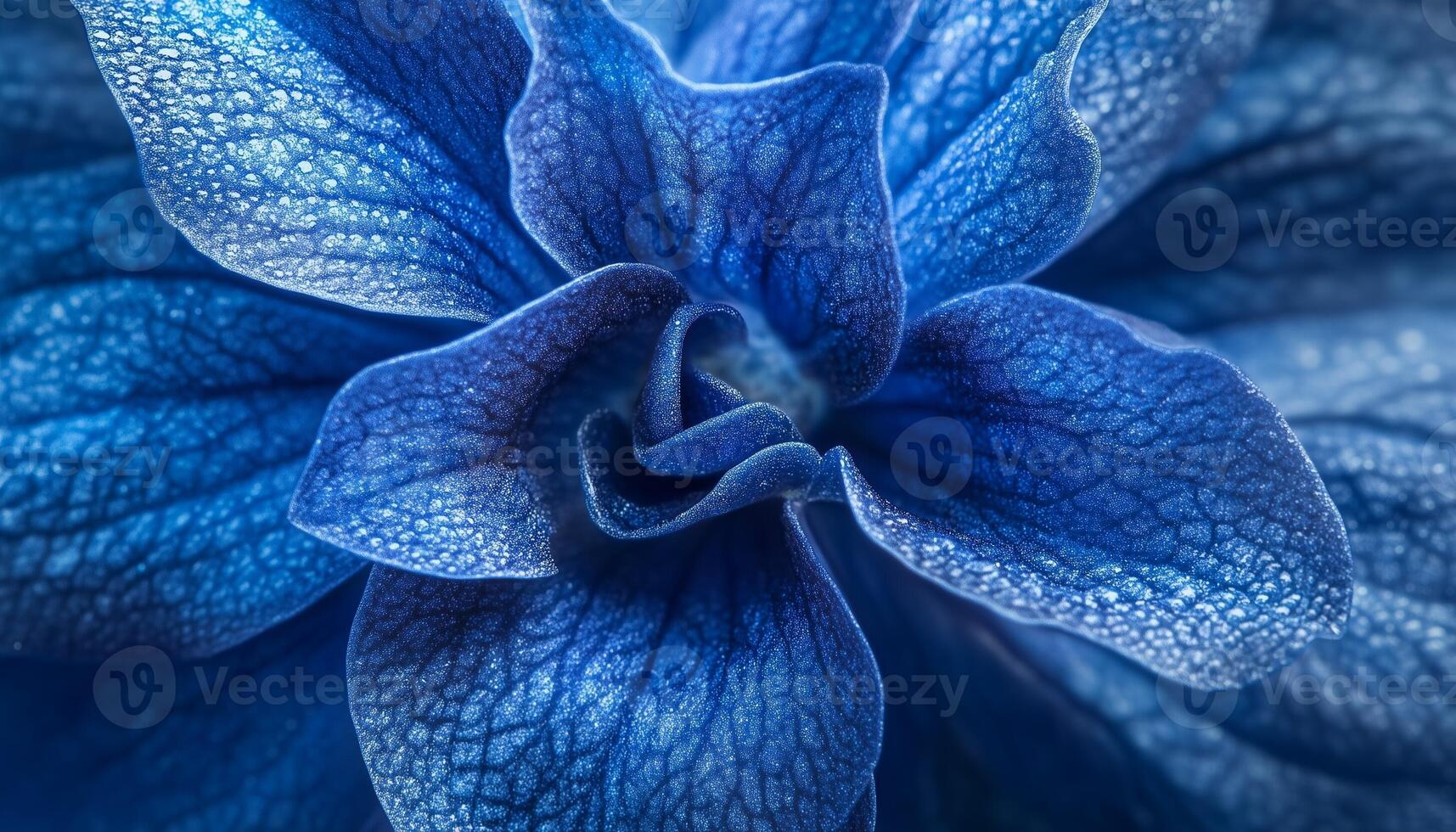 Blue flower extreme macro photo blooming botanical background