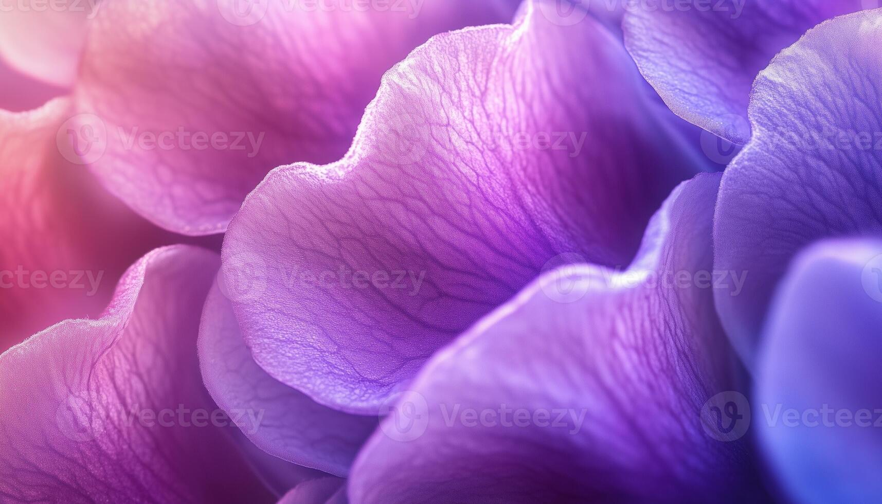 Wisteria flower extreme closeup macro photo detail foliage petal surface