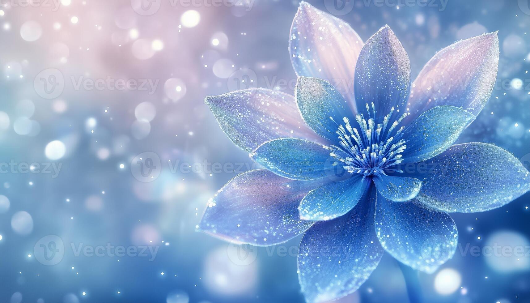 Snowdflake flower vibrant blossom petal nature plant blurred dark background photo