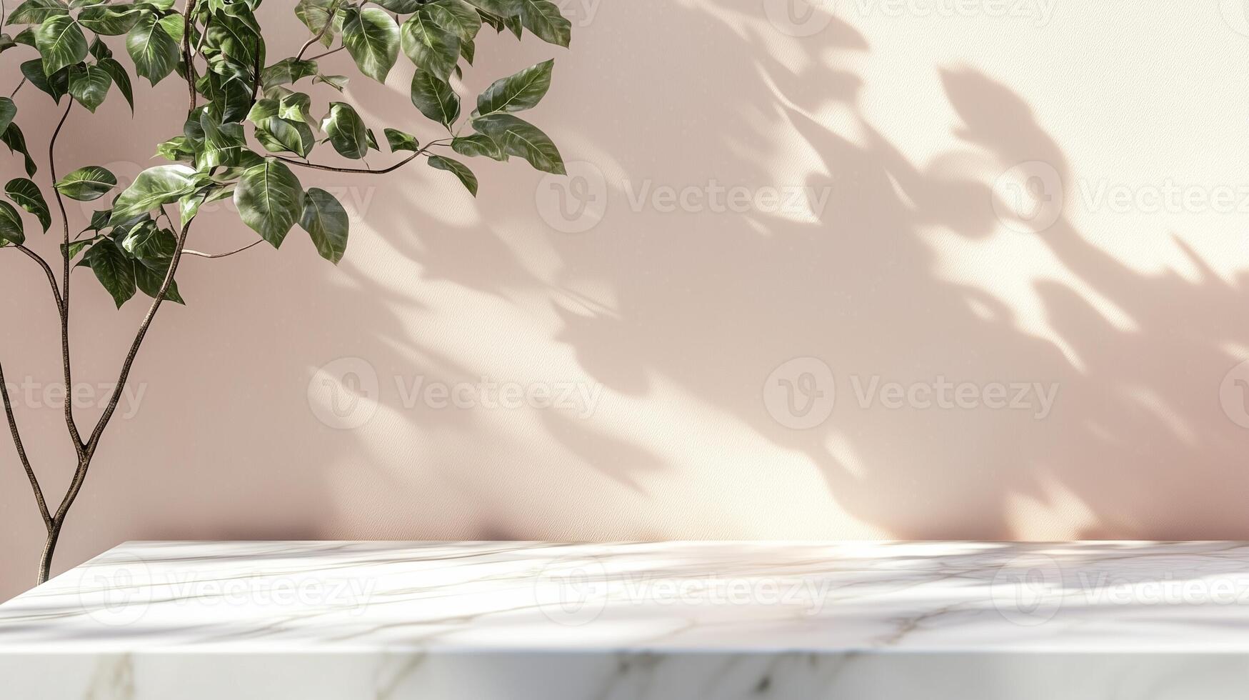 Table top white marble counter copy space cement wall with shadow sunlight from flower vas photo