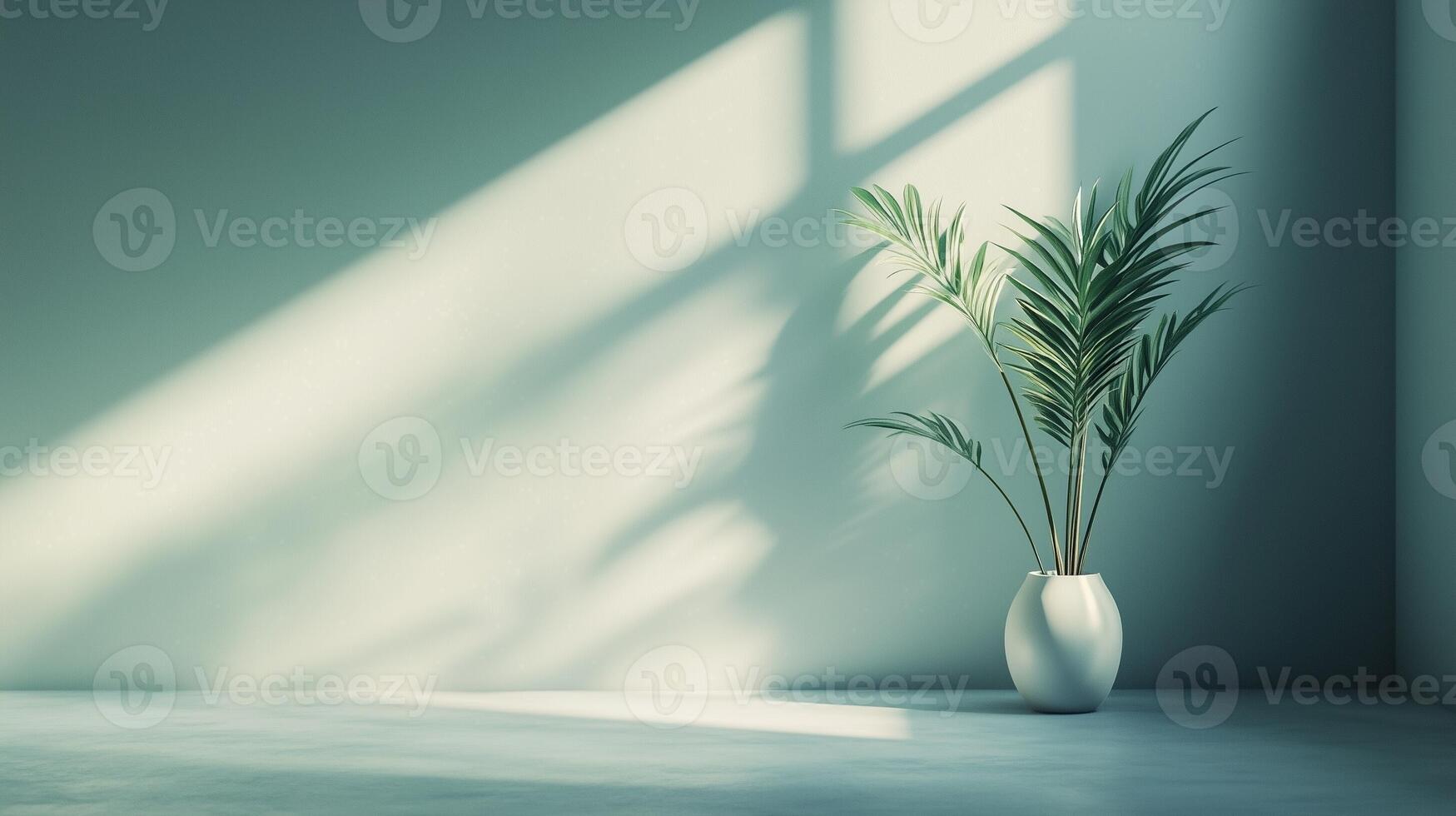 Blue wall cement blank with sun bright shadow from window and pot tree photo