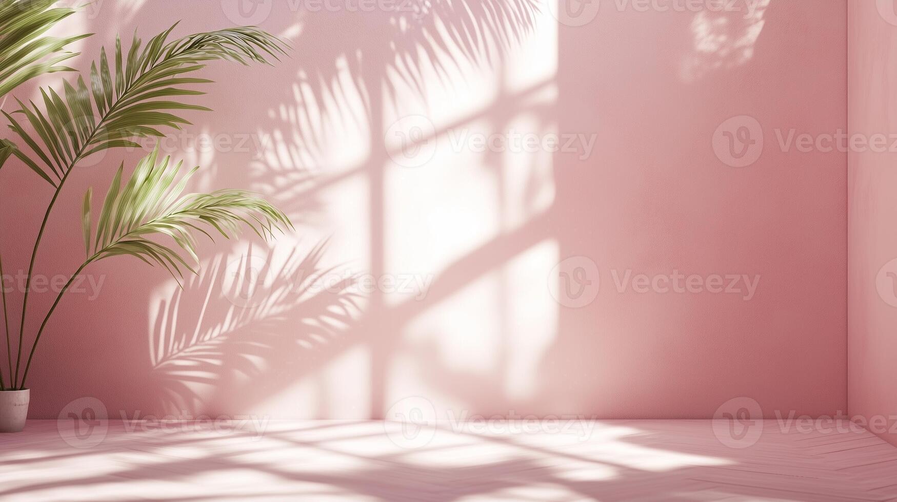 Pink wall cement blank with sun bright shadow from window and palm tree photo