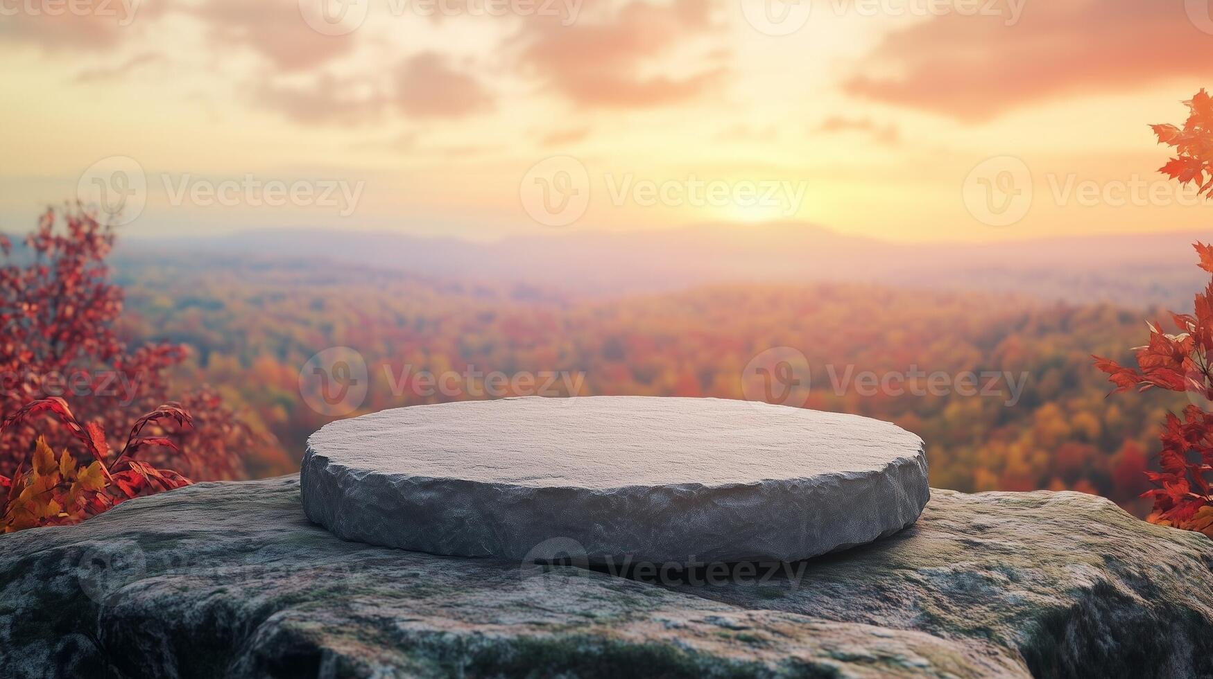 Stone podium stage on edge autumn and valley view nature in winter forest photo