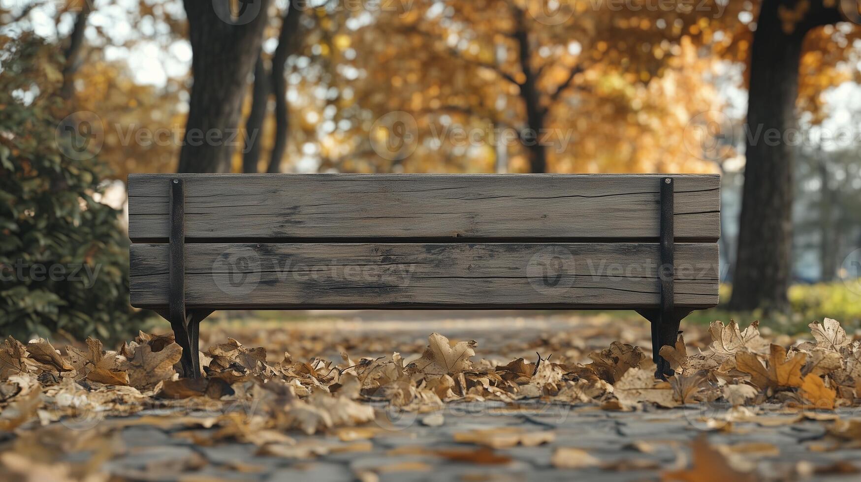 Blank wooden trunk board for label or warning information important in autumn forest garden street photo