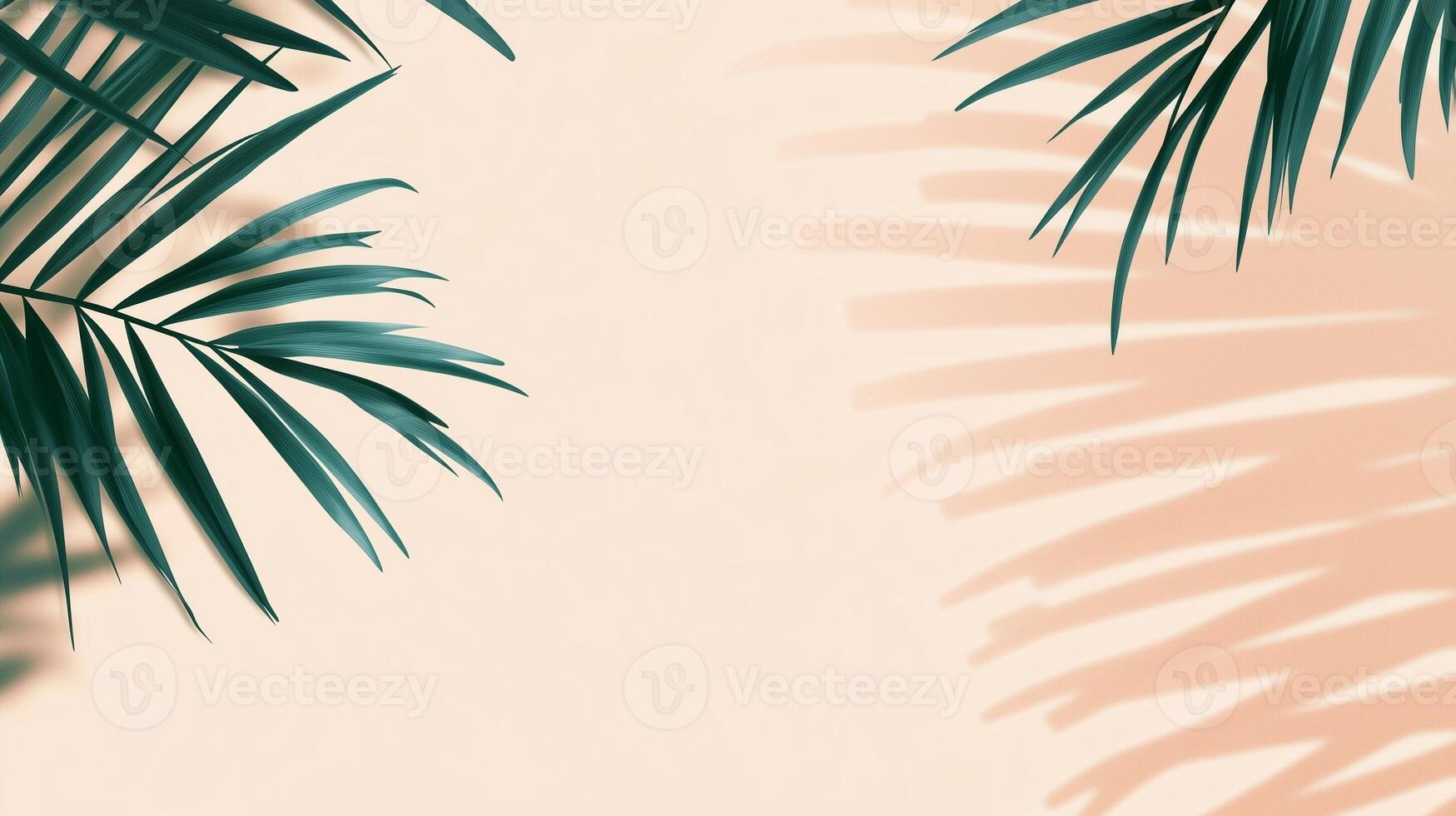 Green palm leaves of the edge frame decoration botanical nature copy space peach background photo