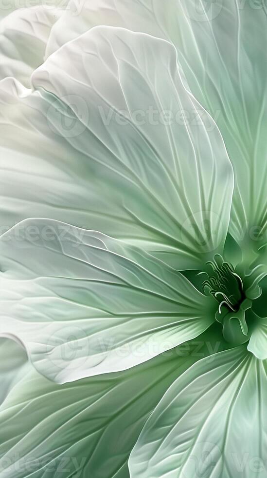 Green flowers closeup petal blooming close up nature theme with story solid background photo