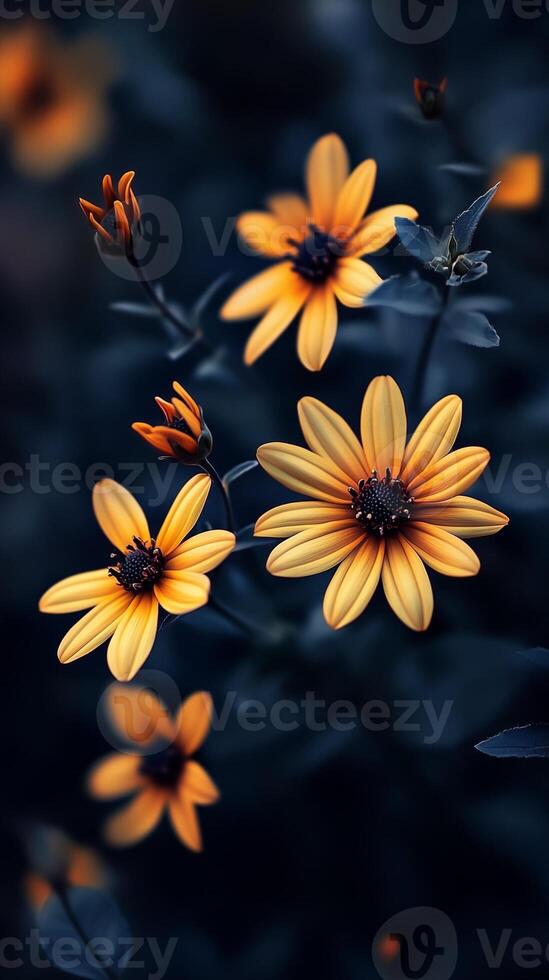 Captivating yellow flower dramatic photo effect dark deep blurred background portrait style