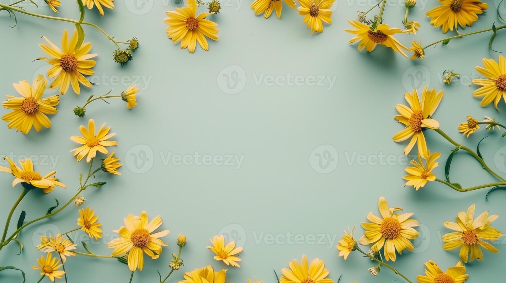 Circular arrangement of arnica flower beauty botanical garden copy space background photo