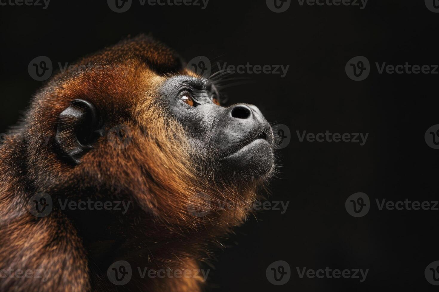 A monkey looking up at something in the dark photo