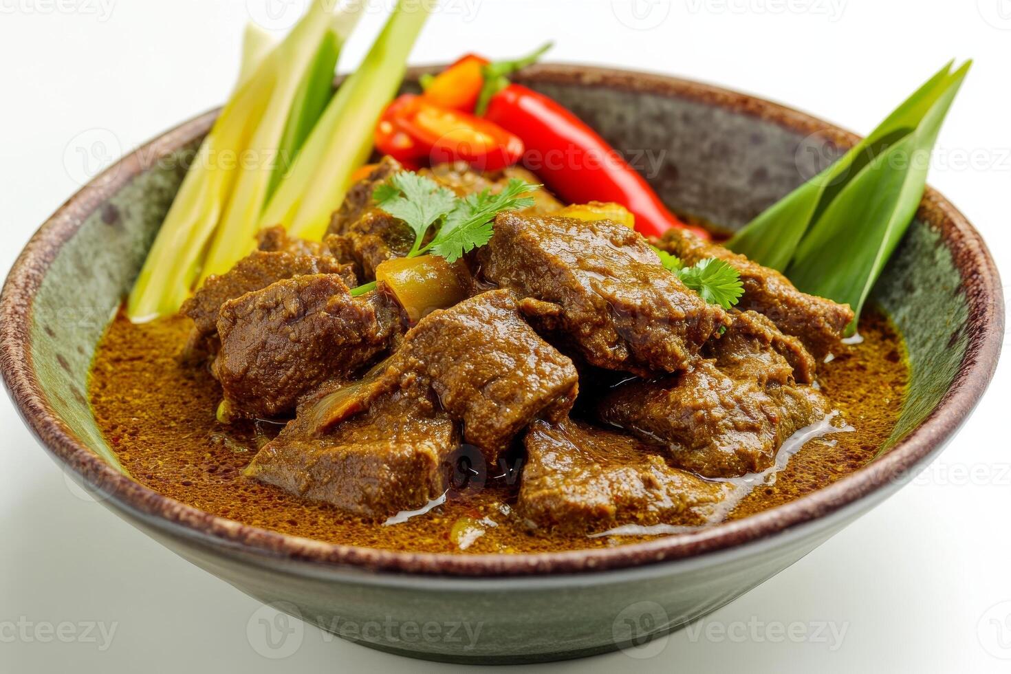 A bowl of beef and vegetables with a green leaf photo