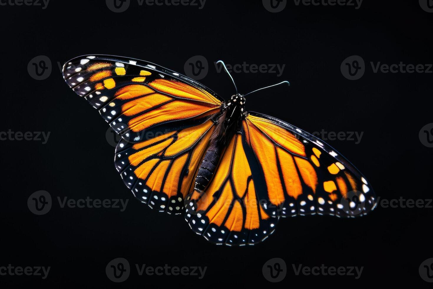 A monarch butterfly is flying in the air photo