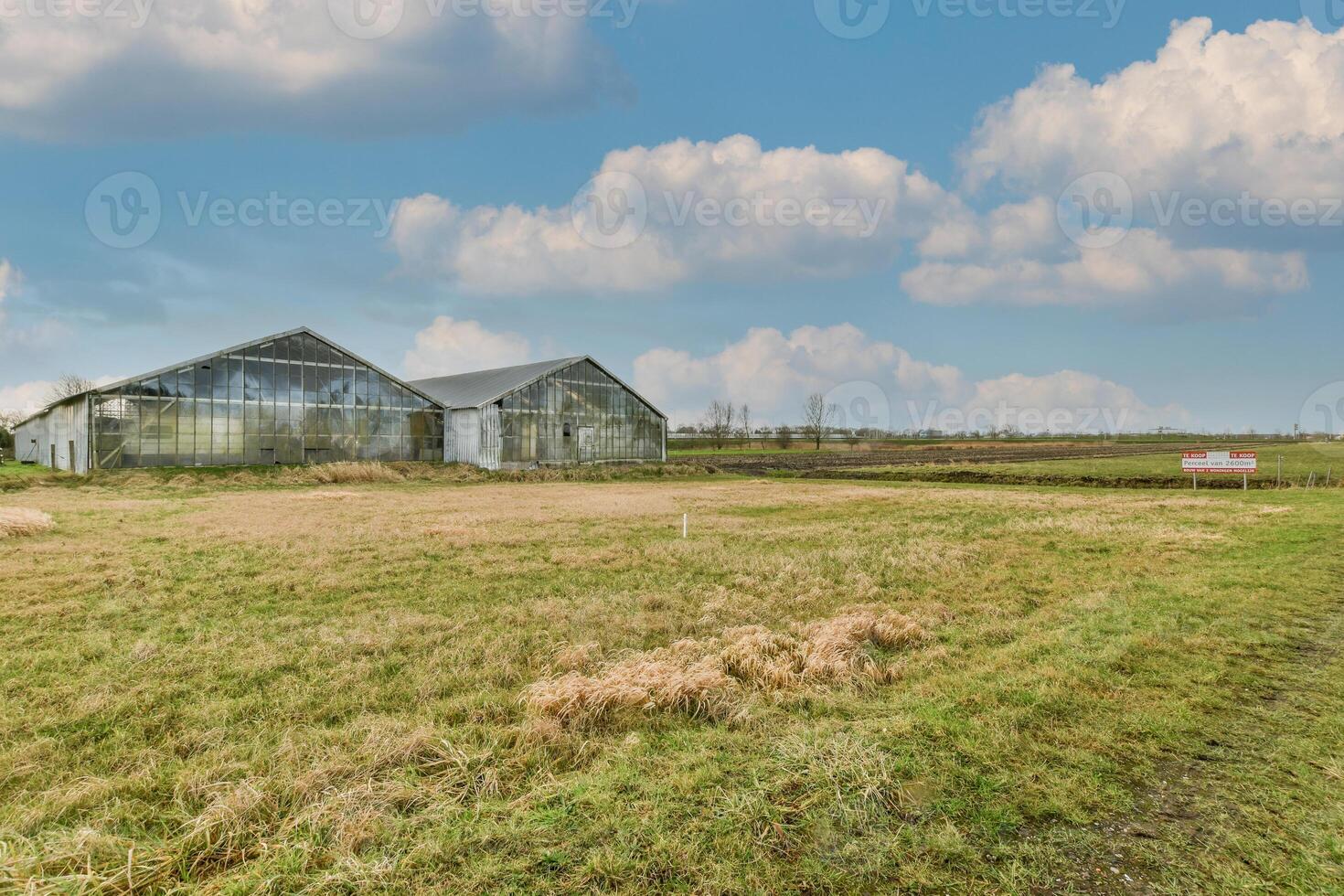 A large grassy field photo
