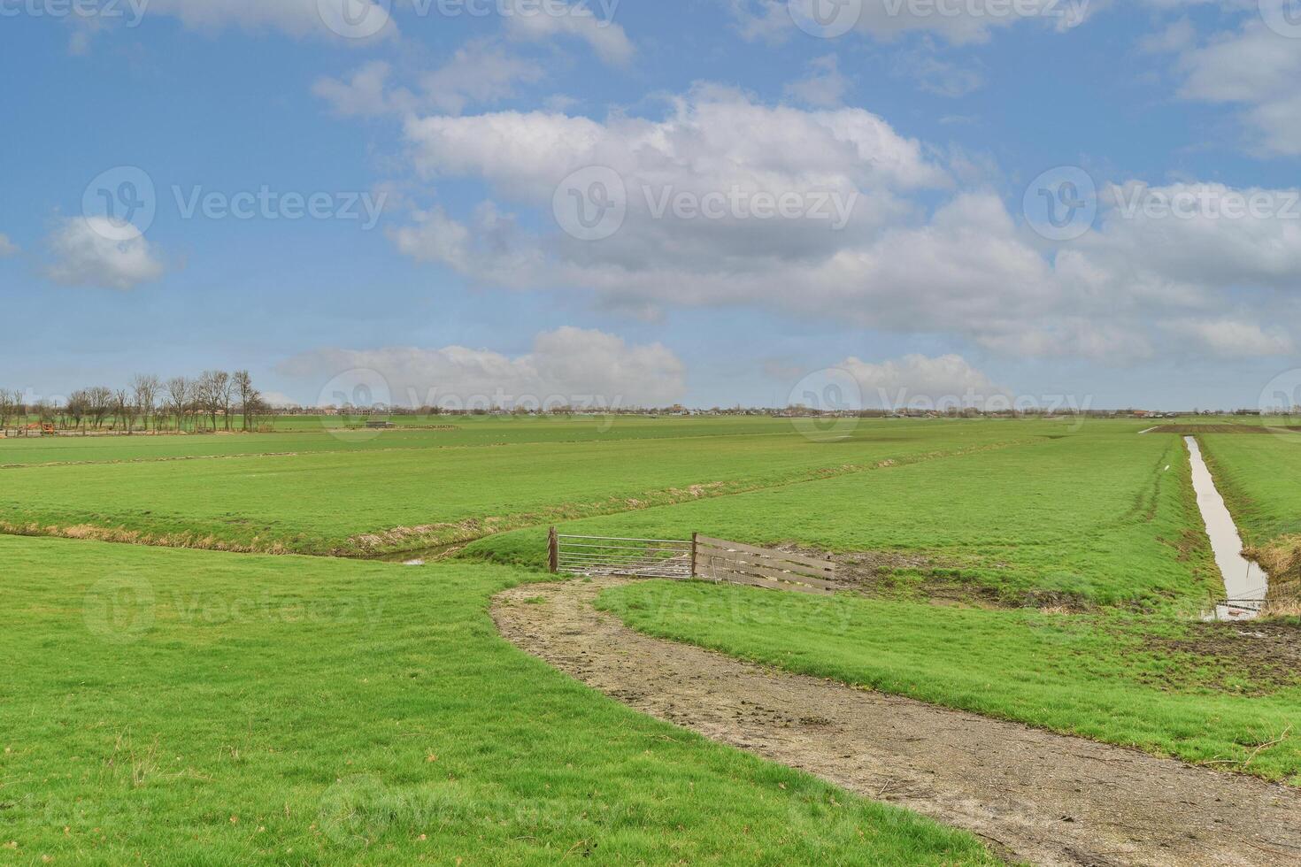 A field with a dirt path photo