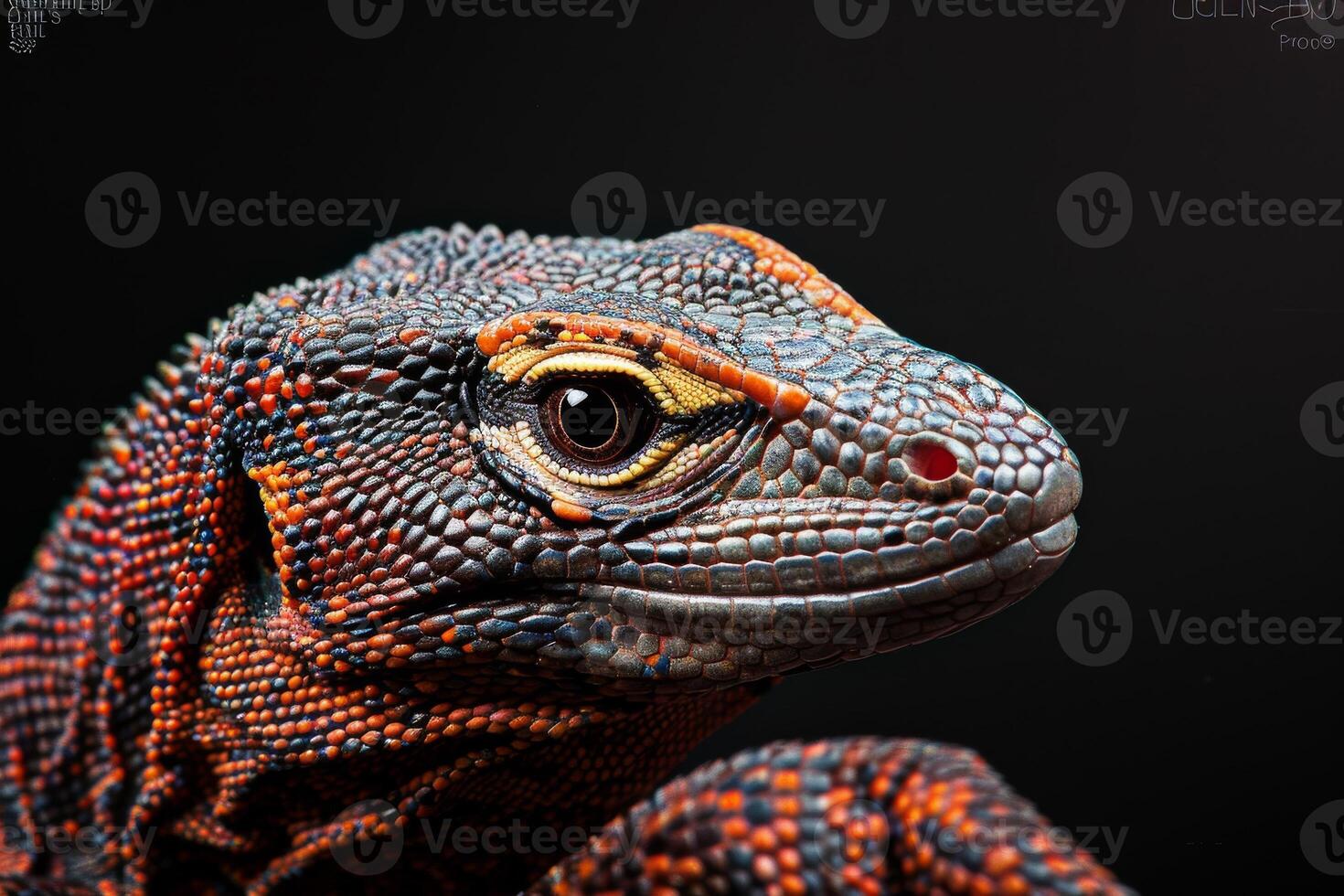 A close up of a lizard's head photo