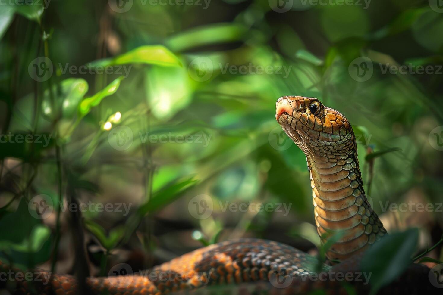 A snake is sitting in the grass photo