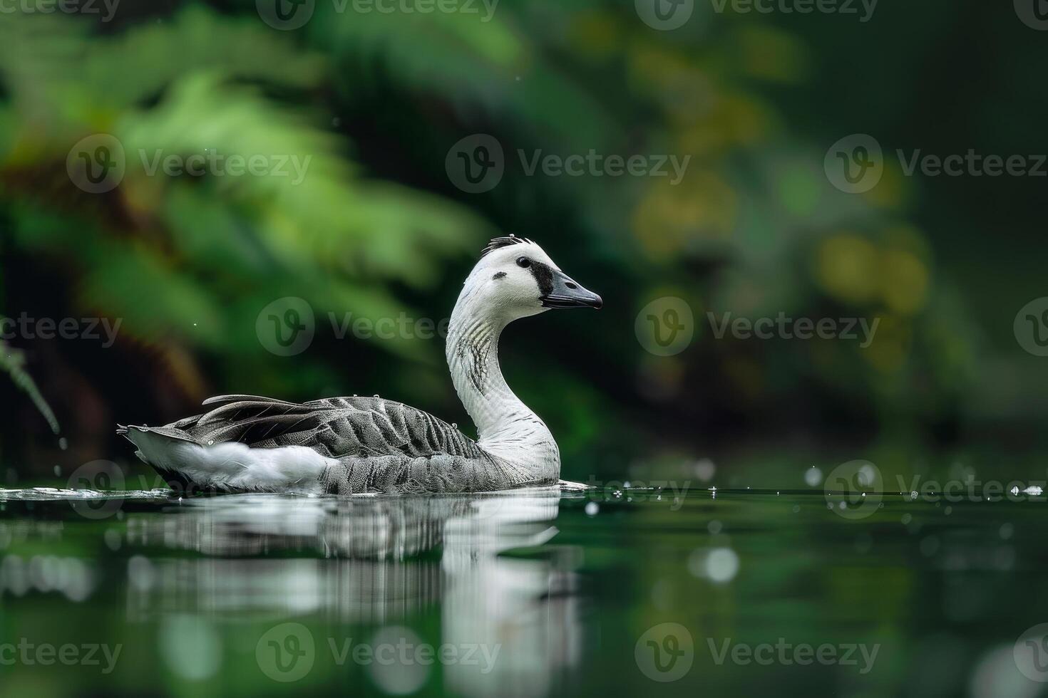 A goose swimming in a pond surrounded by green trees photo