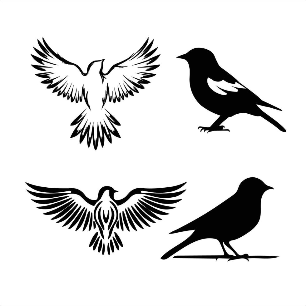 All types of birds silhouette, Silhouette vector