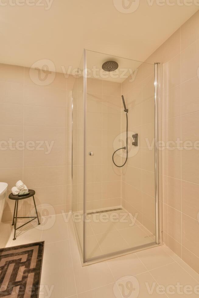 A bathroom with a walk in shower and a toilet photo