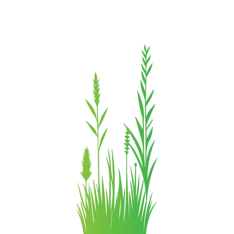 illustrations in flat style. green leaf. Grass vector