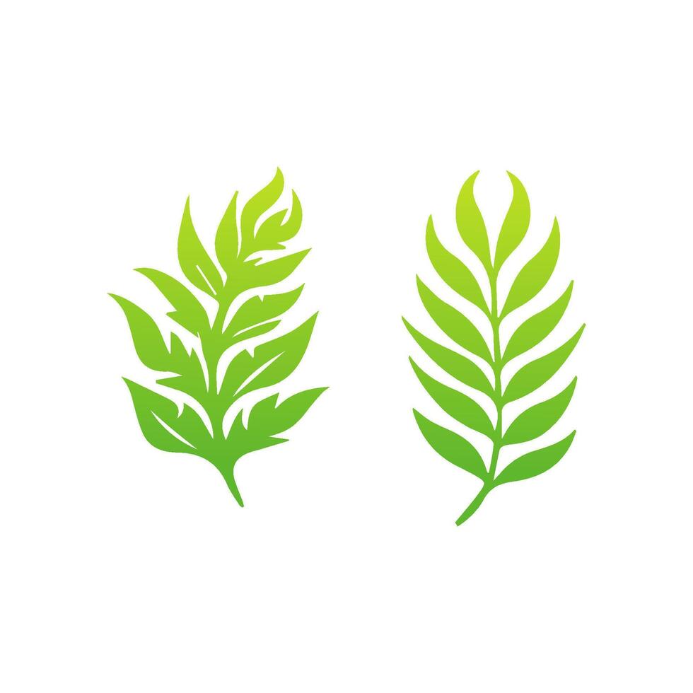 Two green leaves are shown on a white background vector