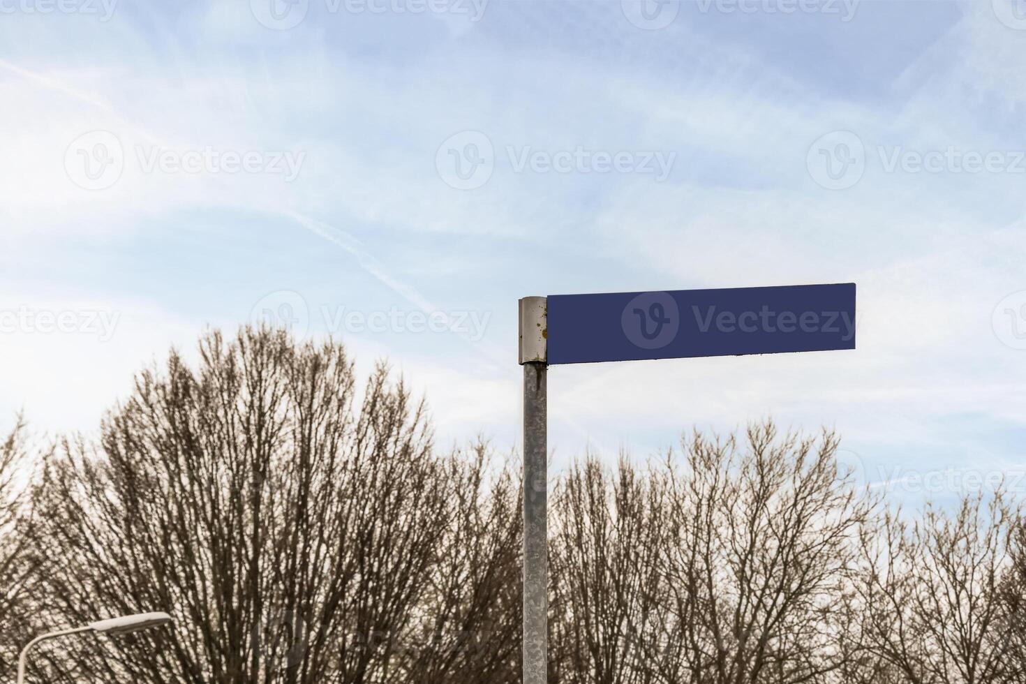 A blue street sign on a pole in front of trees photo