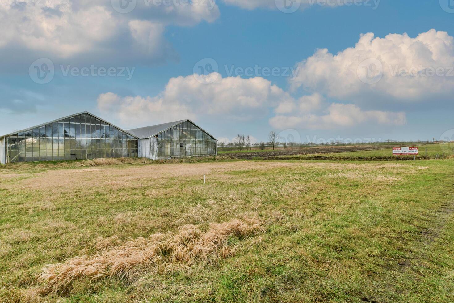 A large grassy field photo