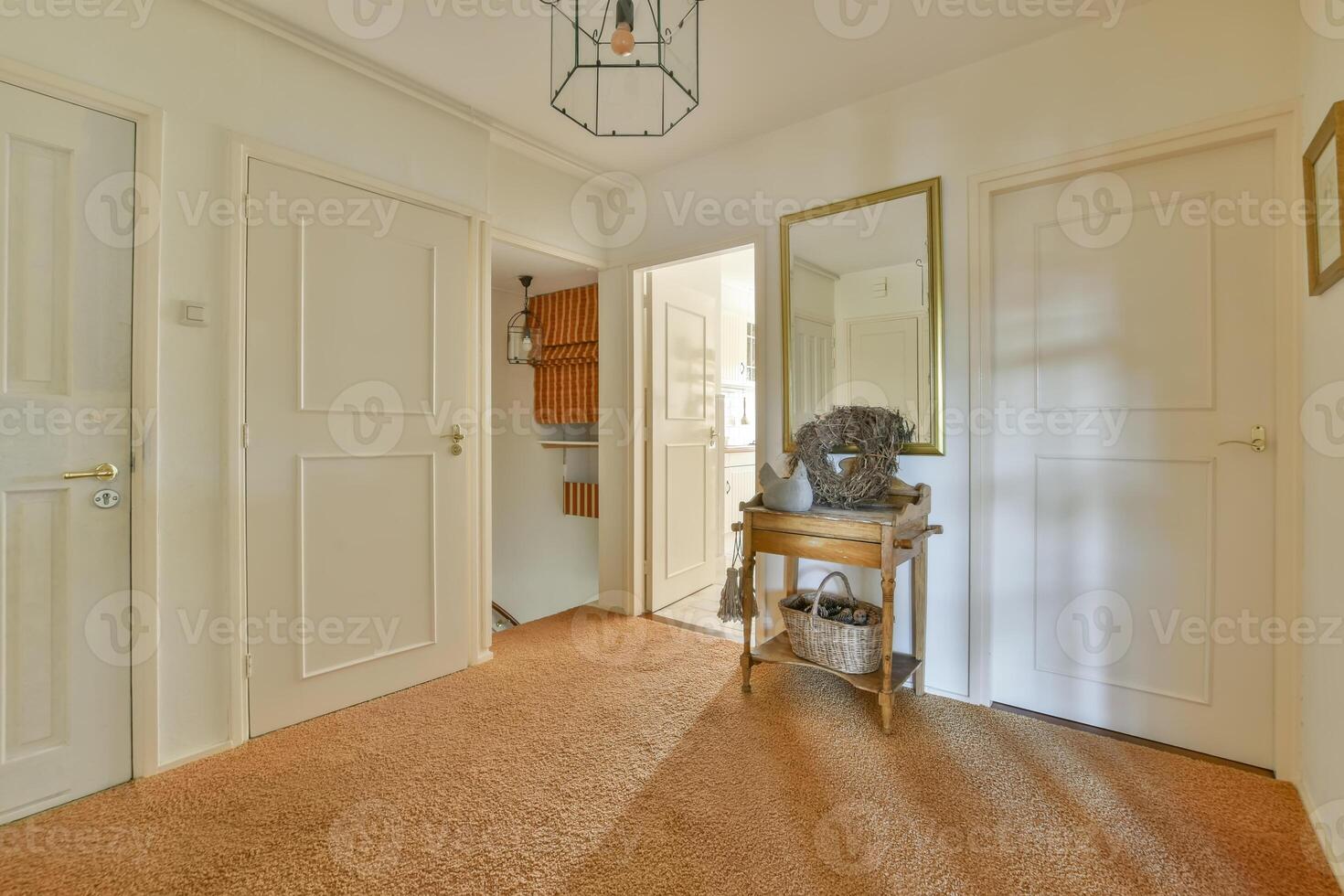 A hallway with two doors and a mirror photo