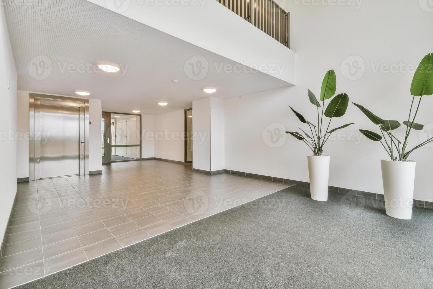 An empty hallway with a plant in a vase photo